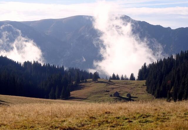 Auf dem Bauernboden: Im Sommer grasen hier die Kühe.