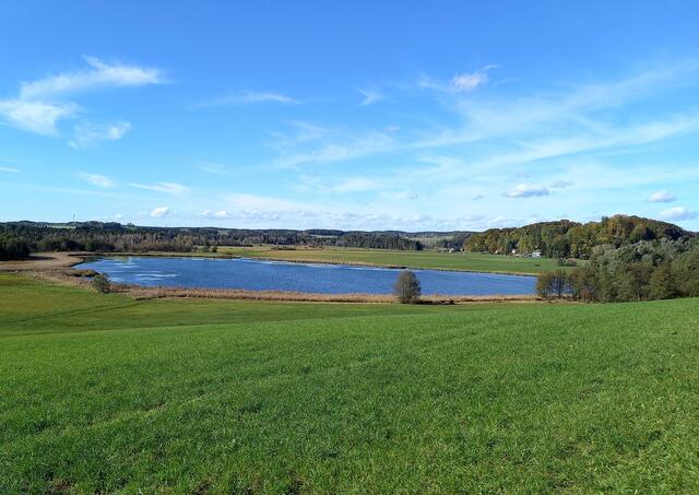 Seeleiten See im ibmer Moor  | Foto: H.Bachinger 