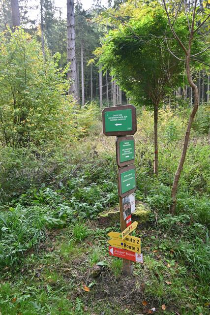 Ich gehe den Höhenrundweg rechts (und komme dann von links wieder hierher)