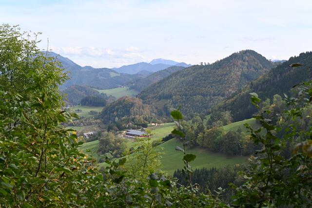 Blick Richtung Ötscher