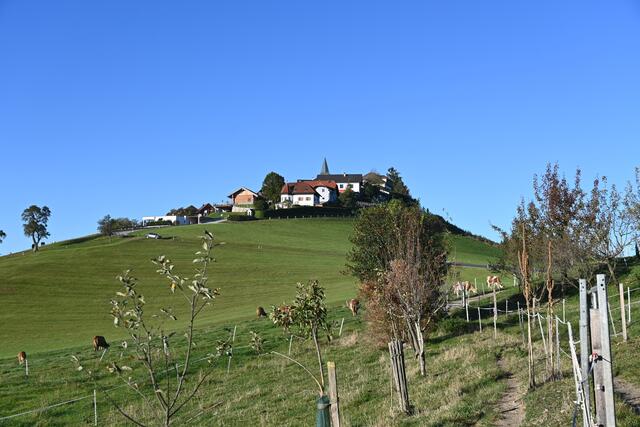 Auf dem Berg Windhag 