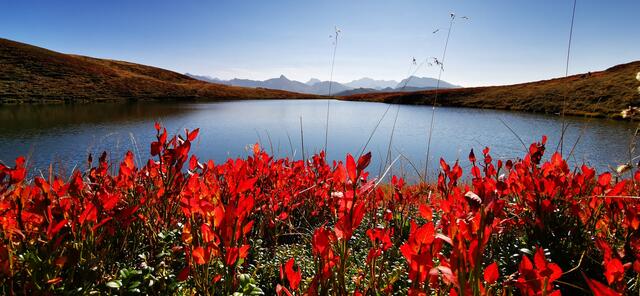 Herbststimmung am Lichtsee | Foto: Sandra Auernig