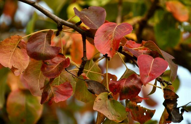 Kommt der Herbst jetzt doch noch? 
