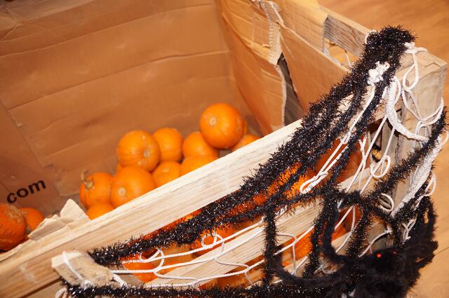 Foto: Birgit Schmatz