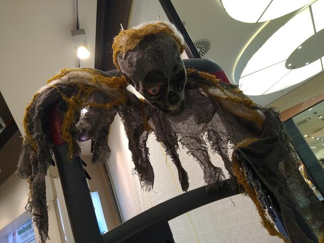 Foto: Birgit Schmatz