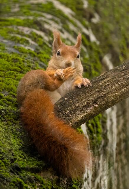 Das posieren muss dieses Model noch lernen..gg.