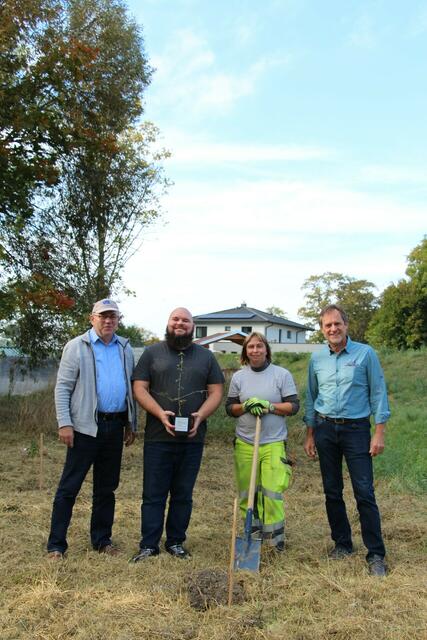 KLAR! Am Leithaberge Trautmannsdorf pflanzt heimische Sträucher