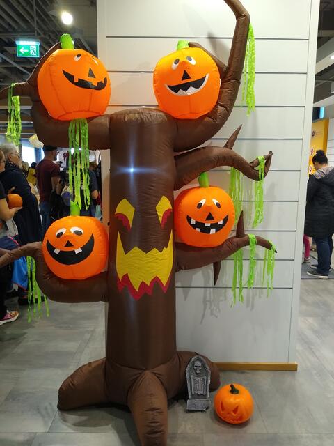 Foto: Birgit Schmatz