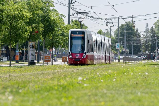 Nachdem zu Allerheiligen der Andrang auf Friedhöfe größer ist, fahren die Friedhofslinien öfter. | Foto: Manfred Helmer/Wiener Linien
