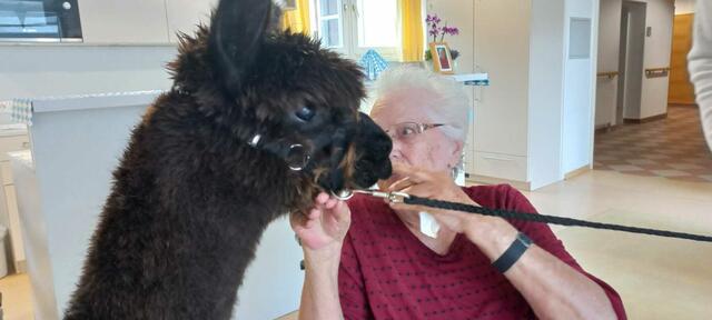 Die Tiere gingen auf Tuchfühlung.  | Foto: Evelin Wille