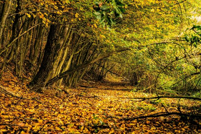 Am Dienstag zeigen sich im Burgenland vermehrt Wolken und Regentropfen. Auch der Wind weht teilweise kräftig.  | Foto: Oliver Oszwald