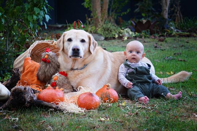 Das Foto entstand beim Knipsen für den Kalender,  der als Weihnachtsgeschenk für die Großeltern gedacht ist. 