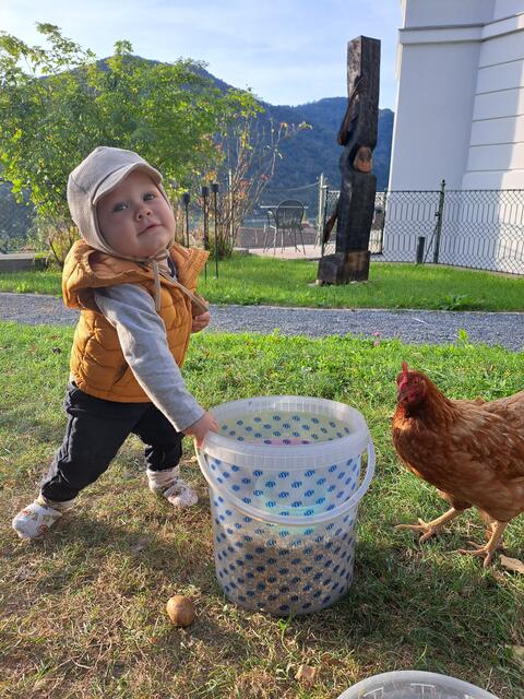 Fütterung im Garten  | Foto: Stephanie Braun 