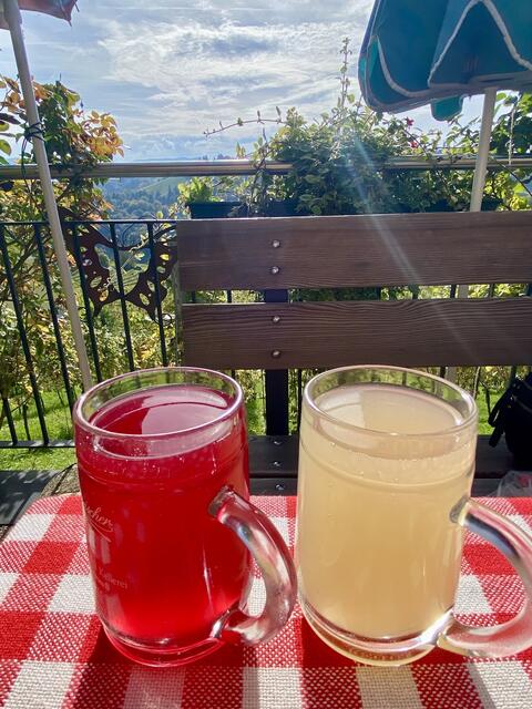 Gutes Wetter - Guter Sturm - was fehlt da noch ?  😬 🌰🌰🌰🌰🌰🌰🌰🌰🌰  | Foto: Gabriele Foramitti 