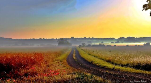 Morgenstimmung im Oktober.