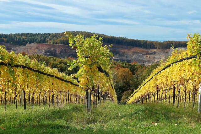 Am Rande des Weinbergfests in Klöch am Nationalfeiertag