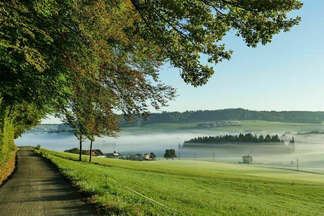 Die Egelseen im Nebel | Foto: Doris Stemeseder