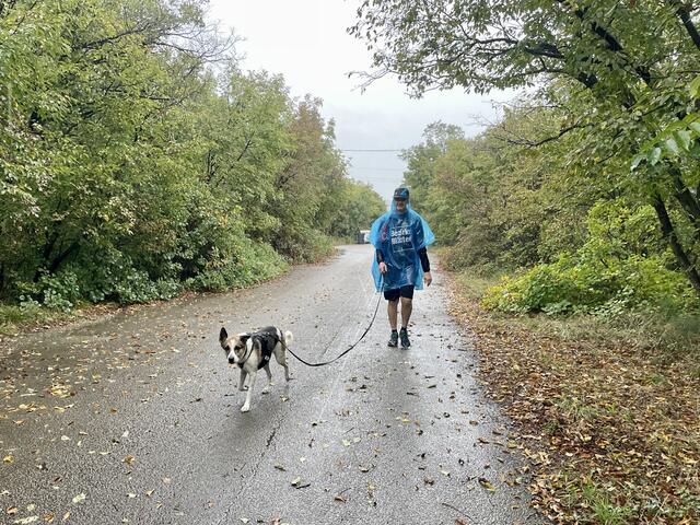 Der Regen ist da und wird immer stärker...