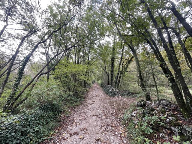 Etappe 35/ Tag 3: wir wandern von Opicina nach Lipica