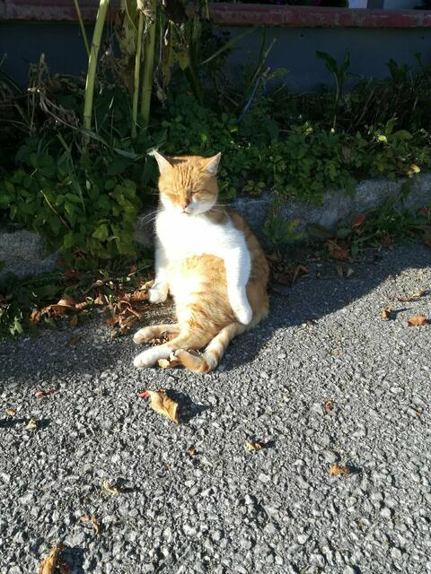 Goldener Oktober | Foto: Beatrix Schartner