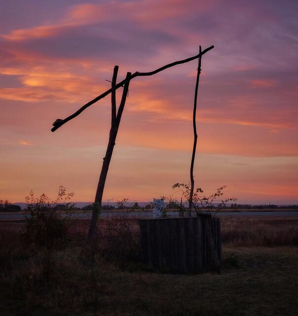 Zu Allerheiligen wird es im Burgenland mild und sonnig. | Foto: Renata Hummer-Fotografie
