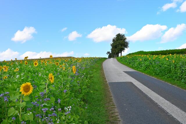 ein Traumtag am 04. Oktober