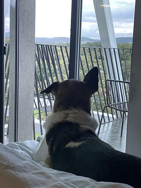 View