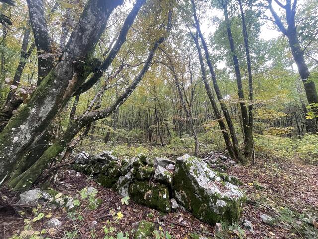 Etappe 36/Tag 4: von Lipica nach Bagnoli della Rosandra
