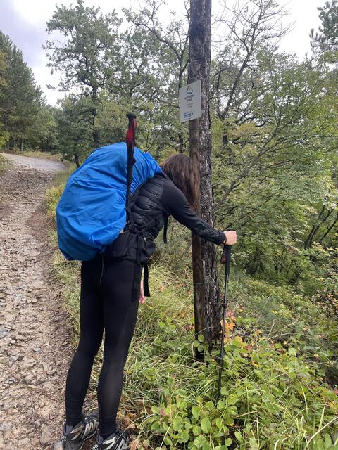 Warum tut man sich das an?