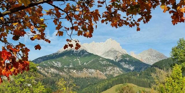 Herbstlicher "Rahmen" | Foto: Georg Ackerer