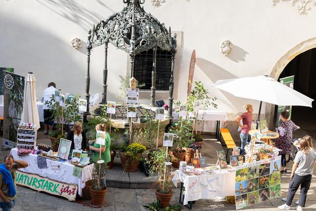 Der Verein stellte beim Markt der Artenvielfalt die Wilde Hecke als Biotopverbund vor. | Foto: Oliver Wolf