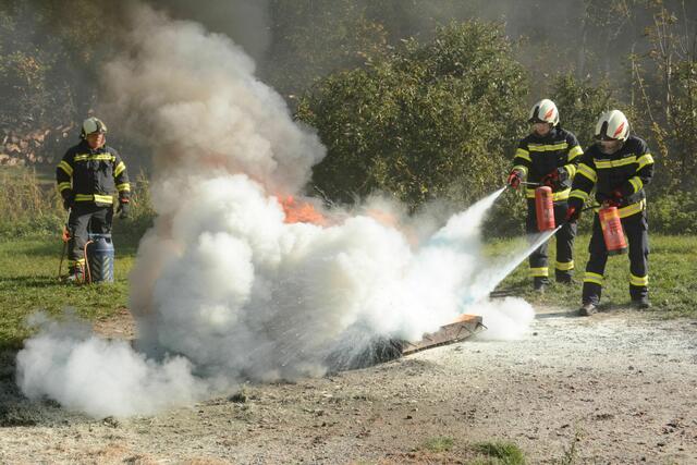 Foto: Herbert Denkmayr