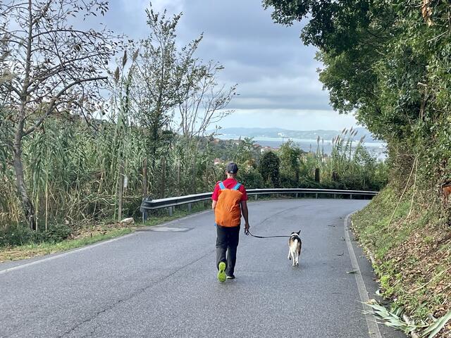 Fast geschafft - am Weg nach Muggia! Wir können das Meer schon sehen!