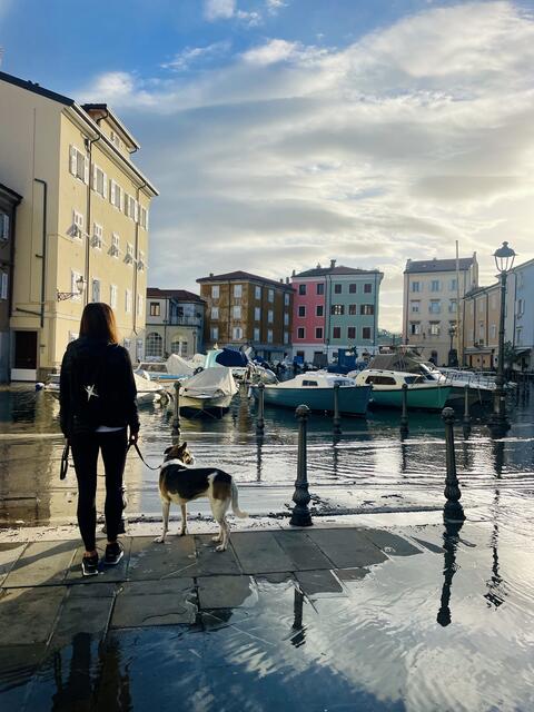 Muggia versinkt im Wasser...