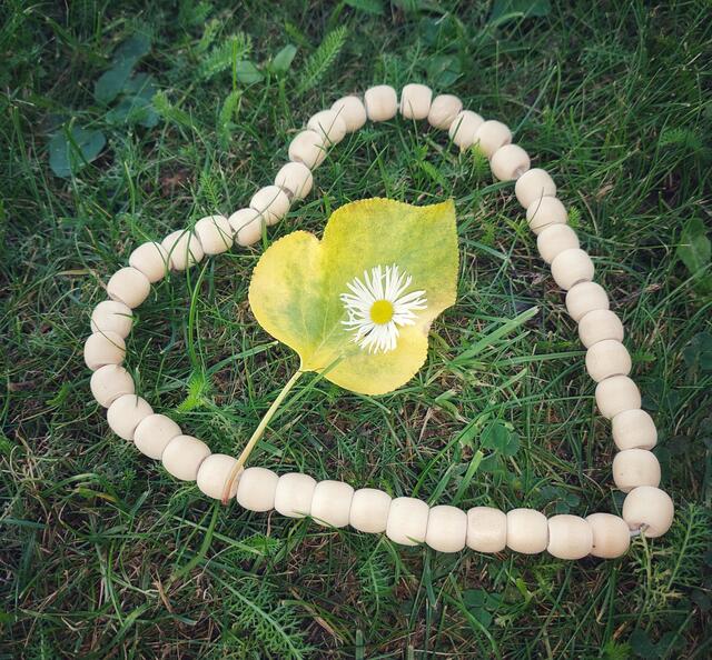 Regionautentag!An diesem Tag möchte ich mich bei jedem einzelnen lieben Regionautinnen und Regionauten bedanken für die sehr lieben&amp;netten Kommentare&amp;Worte und treuen Besuche auf meiner Seite.
Großes Dankeschön auch dem Team der Redaktion.
Dankeschön lieber Gerhard Woger.
Ich wünsche euch weiterhin so schöne Momente sehr viel Freude und ein gutes Licht zum Fotografieren.
Alles Gute und viel Gesundheit ❤️🍀🐞
Ganz Liebe Grüße Renata :)

@renatahfotos 