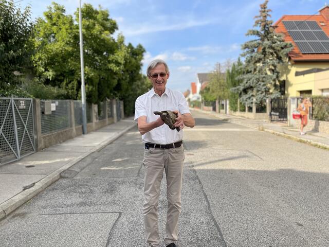 Kurt Bednar und seine Schildkröte wünschen sich, dass es rund um die Kugelmannsiedlung in Erlaa ruhig und friedlich zugeht. Deshalb soll auch der Verkehr in der Eitnergasse beruhigt werden.  | Foto: Kautzky