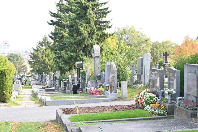 Gräberordnung am Friedhof Ottakring  | Foto: (C) Zuzana Kobesova - https://ebird.org/myebird/AT-9