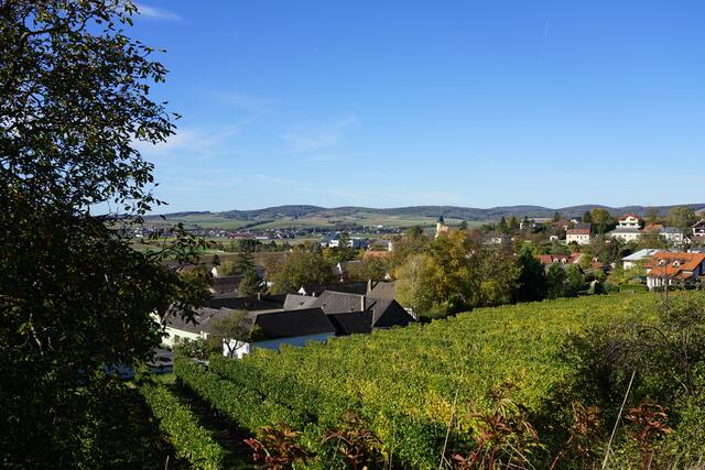 Foto: Roman Kappel