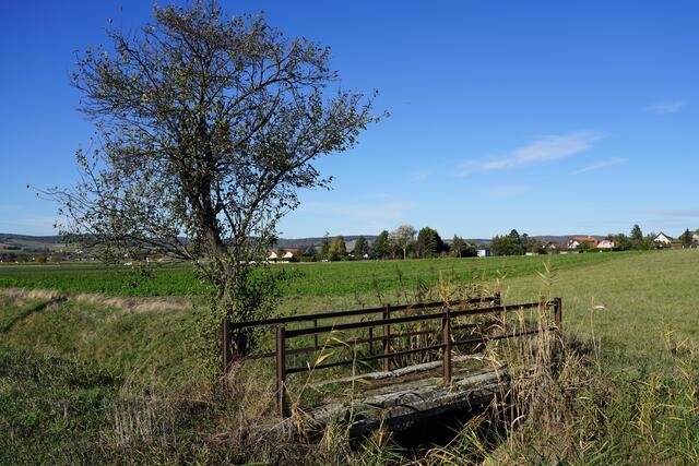 Foto: Roman Kappel