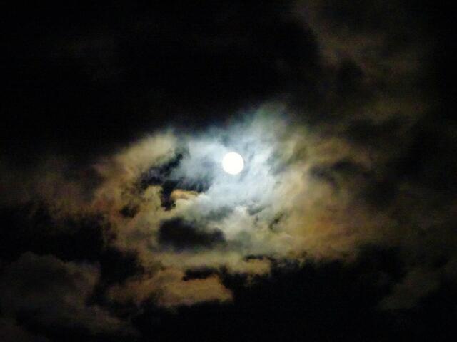 ... Der Mond verschwand öfters hinter den Wolken. ... | Foto: © Silvia Plischek