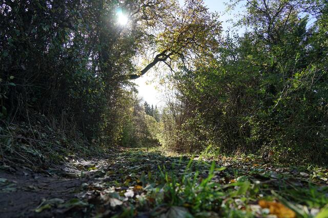 Foto: Roman Kappel