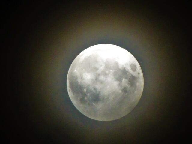 Strahlender Vollmond um 22:33 Uhr: Der Mond ist aus dem Kernschatten der Erde wieder ausgetreten.
 | Foto: © Silvia Plischek