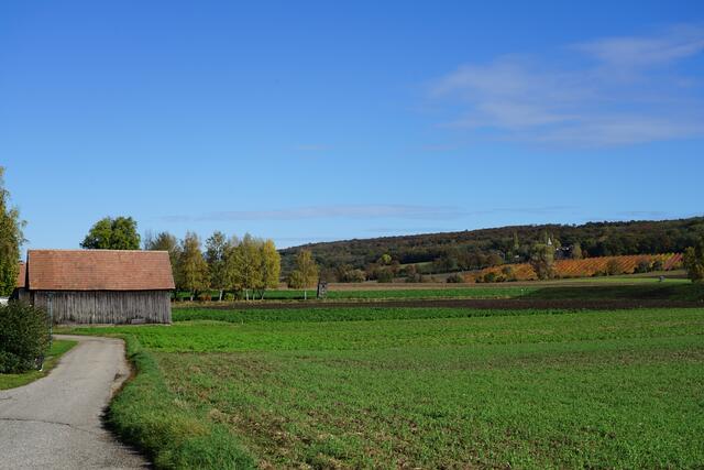 Foto: Roman Kappel