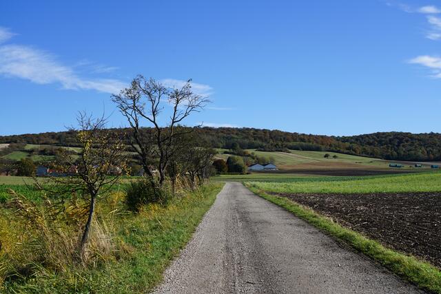 Foto: Roman Kappel