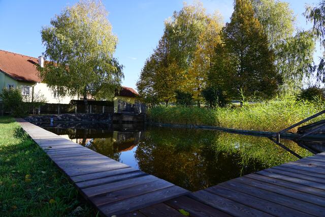 Foto: Roman Kappel