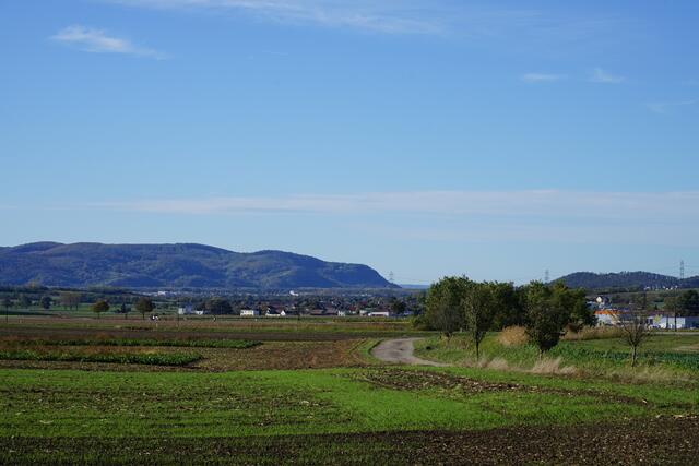 Foto: Roman Kappel