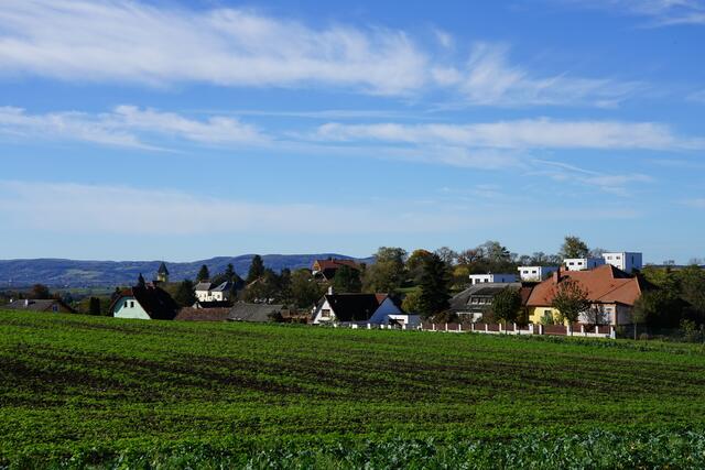 Foto: Roman Kappel