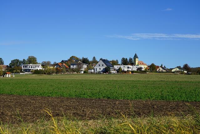 Foto: Roman Kappel