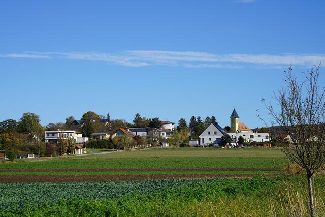 Foto: Roman Kappel