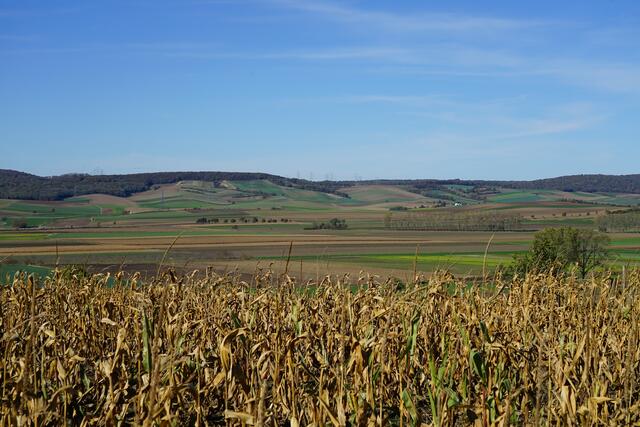 Foto: Roman Kappel